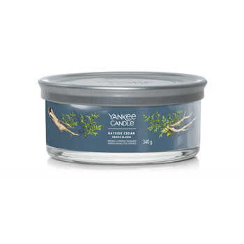Bayside Cedar Signature Tumbler Candle (pobrežný céder) - Vonná sviečka

